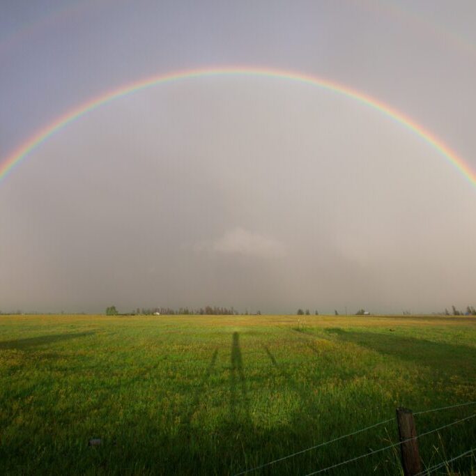 image of an inclusive rainbow in the Dutch landscape